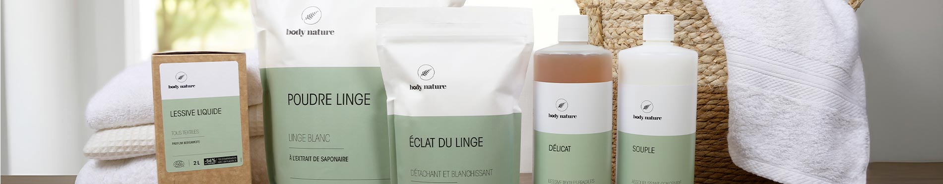 Poudre ou liquide : quelle lessive choisir ?