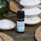 Parfum d'intérieur à diffuser à utiliser avec le Galet aromatique Body Nature. Mise en scène : le petit flacon est sur la table avec en arrière plan des galets aromatiques.