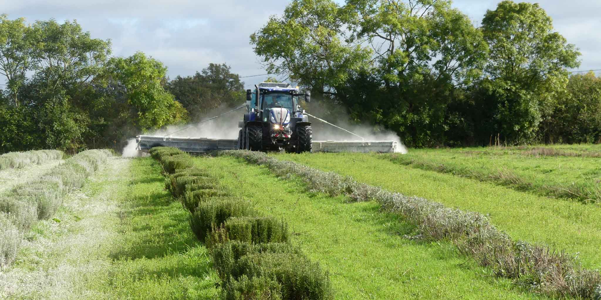 Tracteur sur le Domaine Body Nature