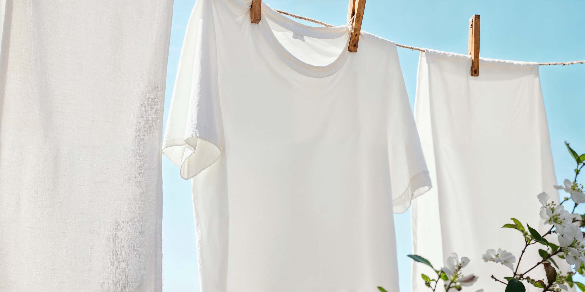 Du linge blanc étendu dehors 